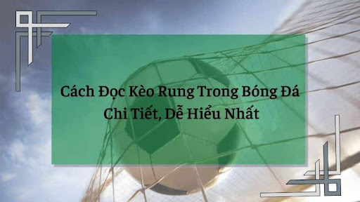 Hướng dẫn cách đọc kèo rung chuẩn xác
